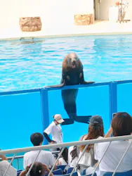 伊豆・三津シーパラダイスに投稿された画像(2026/8/3)