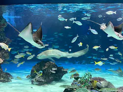 サンシャイン水族館に投稿された画像(2026/8/3)