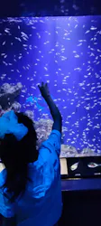 新江ノ島水族館に投稿された画像(2026/8/3)