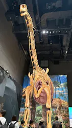 福井県立恐竜博物館に投稿された画像(2026/8/3)