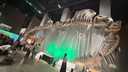 福井県立恐竜博物館に投稿された画像(2026/8/3)
