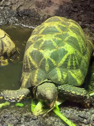 サンシャイン水族館に投稿された画像(2026/8/4)