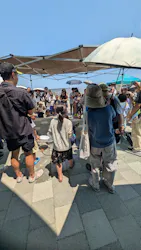 大分マリーンパレス水族館 「うみたまご」に投稿された画像(2026/8/4)
