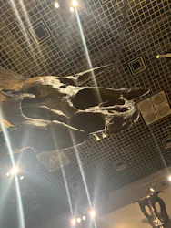国立科学博物館に投稿された画像(2026/8/4)