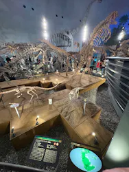 福井県立恐竜博物館に投稿された画像(2026/8/4)