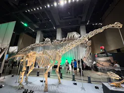 福井県立恐竜博物館に投稿された画像(2026/8/4)