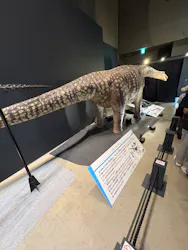 福井県立恐竜博物館に投稿された画像(2026/8/4)
