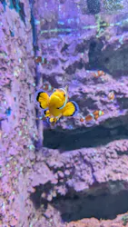 サンシャイン水族館に投稿された画像(2026/8/4)