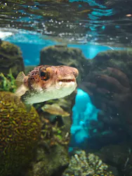 名古屋港水族館に投稿された画像(2026/8/4)