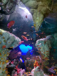サンシャイン水族館に投稿された画像(2026/8/4)