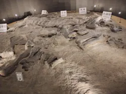 福井県立恐竜博物館に投稿された画像(2026/8/4)