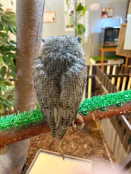 Moff animal cafe イオンモール幕張新都心店に投稿された画像(2026/8/4)
