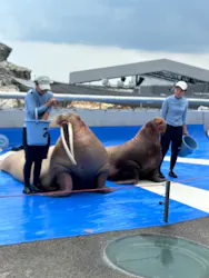大分マリーンパレス水族館 「うみたまご」に投稿された画像(2026/8/4)