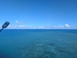 ブルースカイに投稿された画像(2026/8/4)