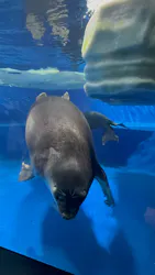 サンシャイン水族館に投稿された画像(2026/8/4)