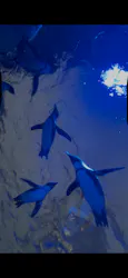 サンシャイン水族館に投稿された画像(2026/8/4)