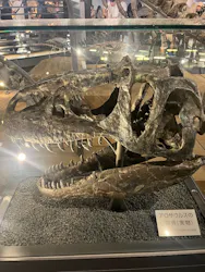 福井県立恐竜博物館に投稿された画像(2026/8/5)