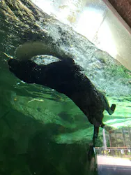 名古屋市東山動植物園に投稿された画像(2026/8/5)