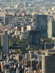 ハルカス300(展望台)に投稿された画像(2026/8/5)