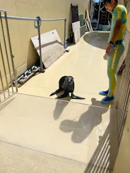 新江ノ島水族館に投稿された画像(2026/8/5)