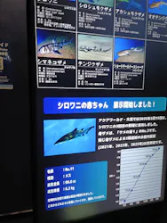 アクアワールド茨城県大洗水族館に投稿された画像(2026/8/5)