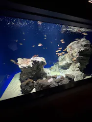 サンシャイン水族館に投稿された画像(2026/8/5)