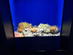 サンシャイン水族館に投稿された画像(2026/8/5)