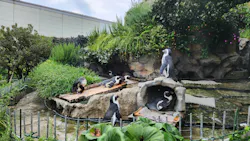サンシャイン水族館に投稿された画像(2026/8/5)