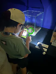 渋谷昆虫探検隊に投稿された画像(2026/8/6)