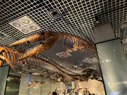 国立科学博物館に投稿された画像(2026/8/6)