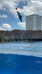 名古屋港水族館に投稿された画像(2026/8/6)
