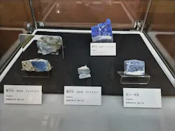 国立科学博物館に投稿された画像(2026/8/6)
