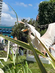 サンシャイン水族館に投稿された画像(2026/8/6)