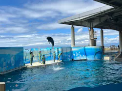 新江ノ島水族館に投稿された画像(2026/8/6)
