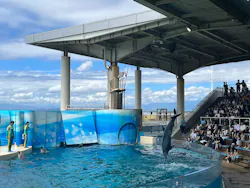 新江ノ島水族館に投稿された画像(2026/8/6)