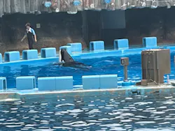 名古屋港水族館に投稿された画像(2026/8/6)