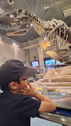 国立科学博物館に投稿された画像(2026/8/6)