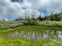 つがいけマウンテンリゾートに投稿された画像(2026/8/6)
