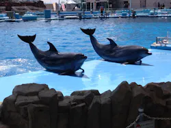 名古屋港水族館に投稿された画像(2026/8/6)