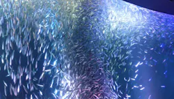 名古屋港水族館に投稿された画像(2026/8/6)