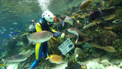 名古屋港水族館に投稿された画像(2026/8/6)