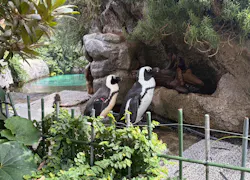 サンシャイン水族館に投稿された画像(2026/8/7)