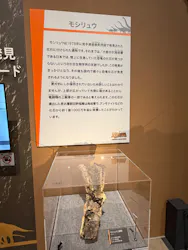 福井県立恐竜博物館に投稿された画像(2026/8/7)