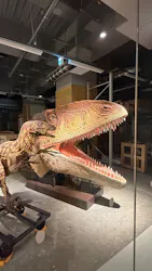 福井県立恐竜博物館に投稿された画像(2026/8/7)