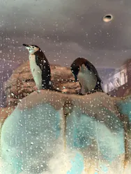 名古屋港水族館に投稿された画像(2026/8/7)