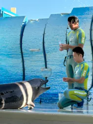 新江ノ島水族館に投稿された画像(2026/8/7)