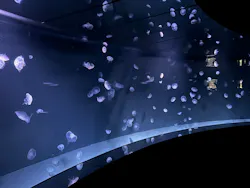 サンシャイン水族館に投稿された画像(2026/8/7)