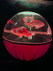 アートアクアリウム美術館 GINZAに投稿された画像(2026/8/7)