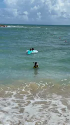 Diving ショップKiaoraに投稿された画像(2026/8/7)