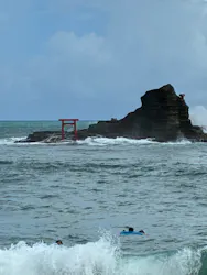 Diving ショップKiaoraに投稿された画像(2026/8/7)